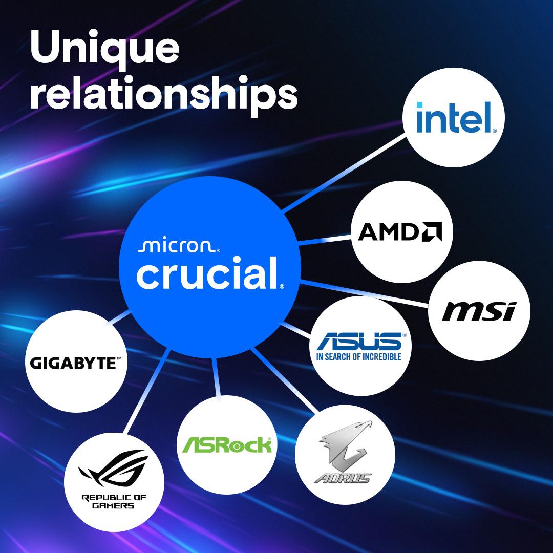 Crucial Pro 32GB DDR5 RAM 5600MHz Desktop RAM / Memory, CP32G56C46U5, 10 Year Warranty thumbnail 2